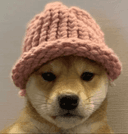 dogwifhat